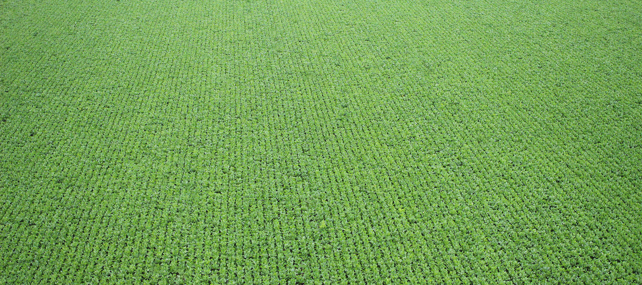 Unsplashed background img 2